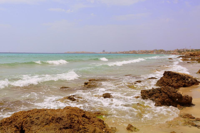 mare